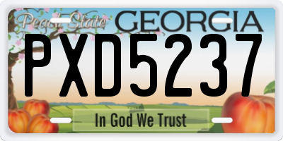 GA license plate PXD5237