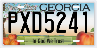 GA license plate PXD5241