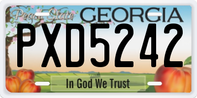 GA license plate PXD5242