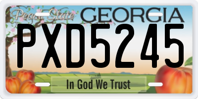 GA license plate PXD5245