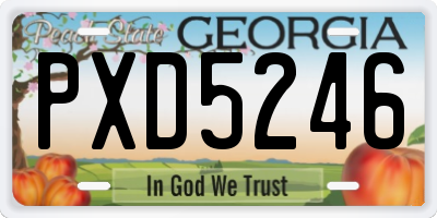 GA license plate PXD5246