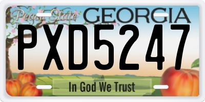 GA license plate PXD5247