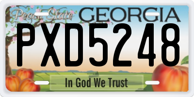 GA license plate PXD5248