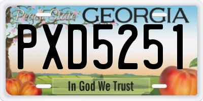 GA license plate PXD5251