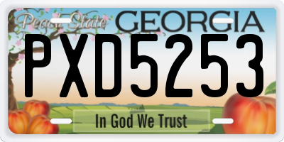 GA license plate PXD5253
