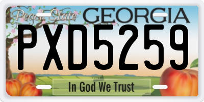 GA license plate PXD5259