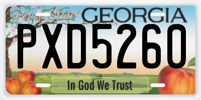 GA license plate PXD5260