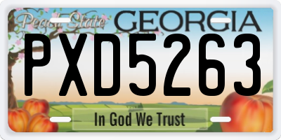 GA license plate PXD5263