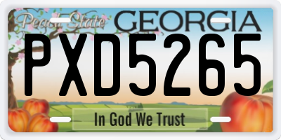 GA license plate PXD5265