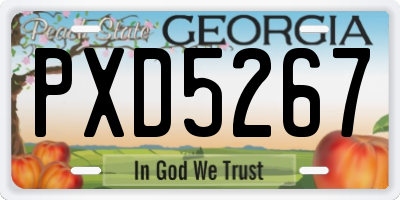 GA license plate PXD5267