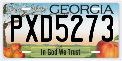 GA license plate PXD5273