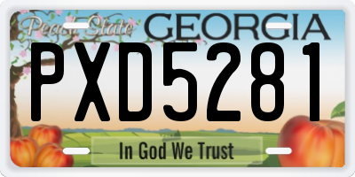 GA license plate PXD5281