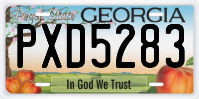 GA license plate PXD5283