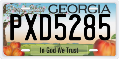 GA license plate PXD5285