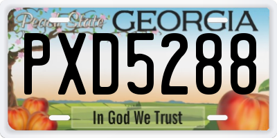 GA license plate PXD5288