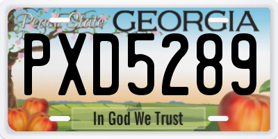 GA license plate PXD5289