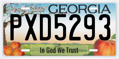 GA license plate PXD5293