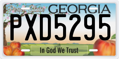 GA license plate PXD5295