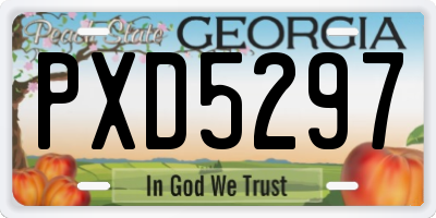 GA license plate PXD5297