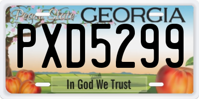 GA license plate PXD5299