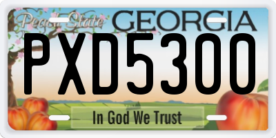 GA license plate PXD5300