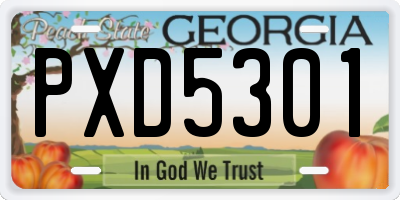 GA license plate PXD5301