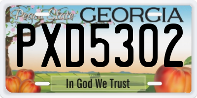 GA license plate PXD5302