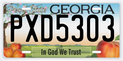 GA license plate PXD5303
