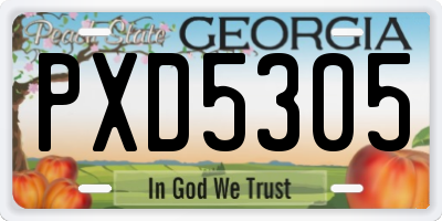 GA license plate PXD5305