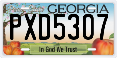 GA license plate PXD5307