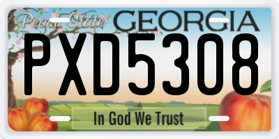 GA license plate PXD5308