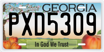 GA license plate PXD5309