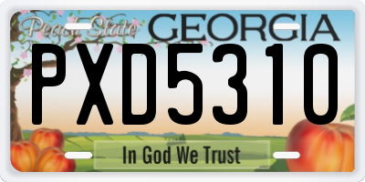 GA license plate PXD5310