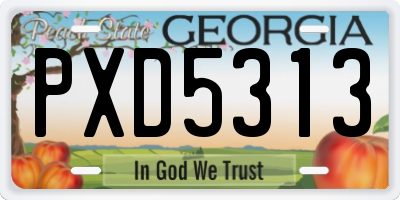 GA license plate PXD5313