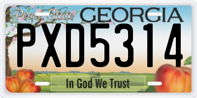 GA license plate PXD5314