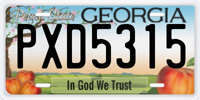GA license plate PXD5315