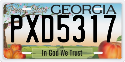 GA license plate PXD5317