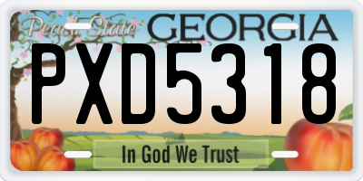 GA license plate PXD5318