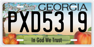 GA license plate PXD5319