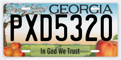 GA license plate PXD5320