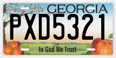GA license plate PXD5321