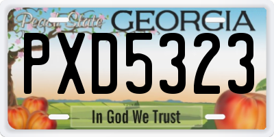 GA license plate PXD5323