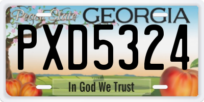 GA license plate PXD5324