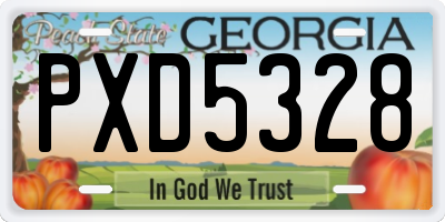GA license plate PXD5328