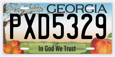 GA license plate PXD5329