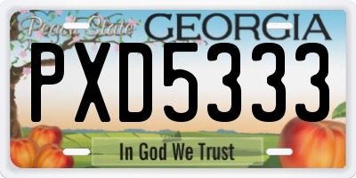 GA license plate PXD5333