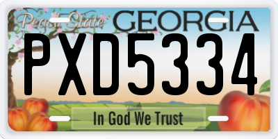 GA license plate PXD5334