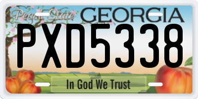 GA license plate PXD5338