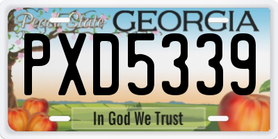 GA license plate PXD5339
