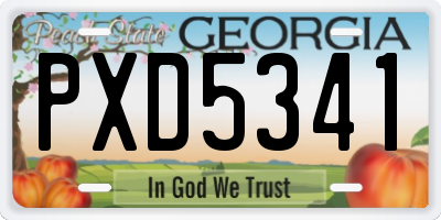 GA license plate PXD5341